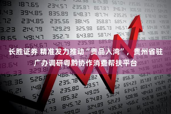 长胜证券 精准发力推动“贵品入湾”，贵州省驻广办调研粤黔协作消费帮扶平台