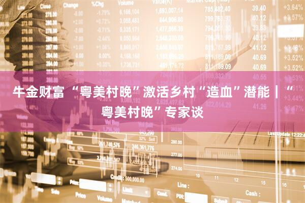 牛金财富 “粤美村晚”激活乡村“造血”潜能｜“粤美村晚”专家谈
